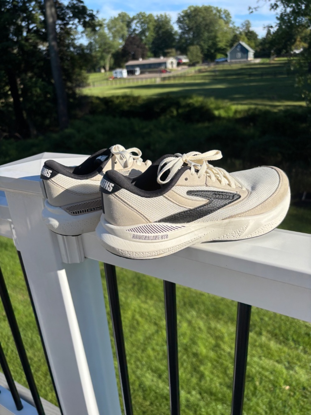 Adrenaline GTS 24 Coconut/SilverLining/Black size 7